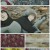 방패 용사 성공담 Season 2.E03.220420.1080p.H264-F1RST