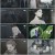 장미왕의 장례 행렬.E16.220503.1080p.WANNA