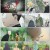 [WEB-DL *NF] 지옥락 (Hell's Paradise Jigokuraku 2023) E01-E10