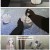 야무진 고양이는 오늘도 우울.E09.230910.1080p.H264-F1RST