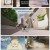 야무진 고양이는 오늘도 우울.E13.231008.1080p.H264-F1RST