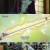 파멸의 왕국.E10.231209.720p-NEXT