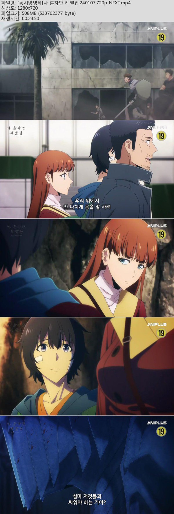 17515865597558.jpg