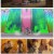 청의 엑소시스트 시마네 일루미너티편.E03.240121.720p.H264-F1RST