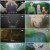 전국요호 세상을 바로잡는 남매 편.E03.240125.720p.WANNA