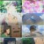 전국요호 세상을 바로잡는 남매 편.E05.240208.720p.WANNA