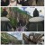 킹덤 5기.E05.240213.720p-F1RST