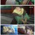전국요호 세상을 바로잡는 남매 편.E11.240321.720p.H264-F1RST