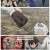 치유마법의 잘못된 사용법.E11.240321.720p.H264-F1RST