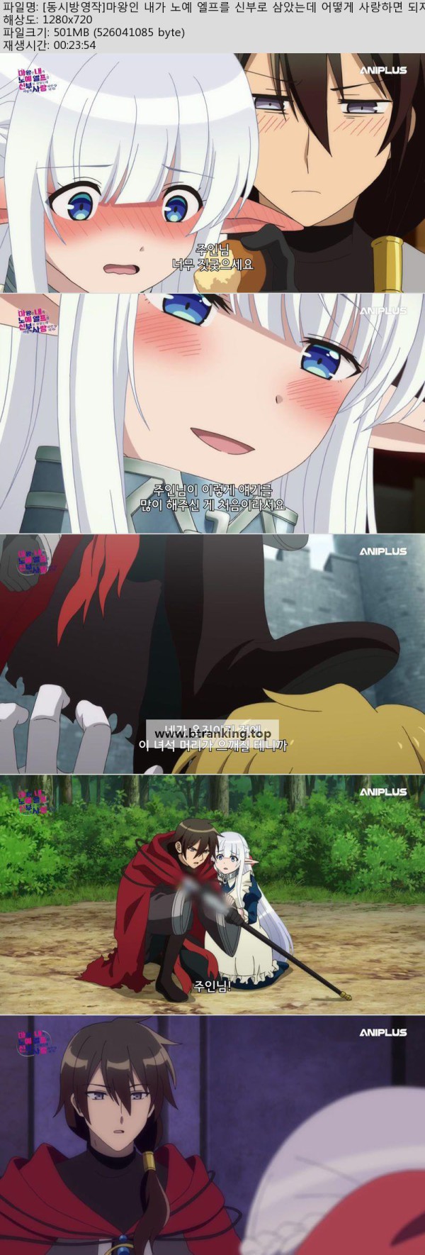 17515936386254.jpg