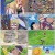 [WEB-DL 우리말 더빙] 원피스 (ONE PIECE 2009) S09