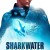 샤크워터 익스팅션 Sharkwater Extinction Sharkwater.Extinction.2018.2160p.AMZN.WEB-DL.x265.8bit.SDR.DDP5.1-iKA