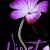 Violet Violet.2020.1080p.WEBRip.x265-RARBG
