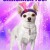Chihuahua too! Chihuahua.Too.2013.1080p.WEBRip.x265-RARBG