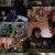 Her Married Lover Her.Married.Lover.1999.1080p.WEBRip.x265-RARBG