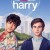 The Thing About Harry The.Thing.About.Harry.2020.1080p.WEBRip.x265-RARBG