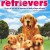 The Retrievers The.Retrievers.2001.1080p.WEBRip.x264-RARBG