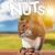 Going Nuts: Tales from the Squirrel World Going.Nuts.2019.1080p.WEBRip.x265-RARBG