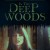 미녀 연쇄 살인 In the Deep Woods In.the.Deep.Woods.1992.1080p.WEBRip.x265-RARBG