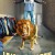 Strong as a Lion Lejontamjaren.2003.SWEDISH.1080p.NF.WEBRip.DDP2.0.x264-tobias
