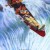 산악 캠프 White Water Summer White.Water.Summer.1987.1080p.WEBRip.x264-RARBG