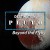 Destination: Pluto Beyond the Flyby Destination.Pluto.Beyond.The.Flyby.2016.1080p.WEBRip.x264-RARBG