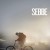 세베: 소년의 초상 Sebbe Sebbe.2010.SWEDISH.1080p.WEBRip.x264-VXT