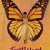 Fruits of the Heart Fruits.of.the.Heart.2021.1080p.WEBRip.x264-RARBG
