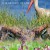 Spring: The Return of Life Spring The Return Of Life (2014) [1080p] [WEBRip]