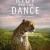 The Riot and the Dance: Earth The.Riot.and.the.Dance.Water.2020.1080p.WEB.h264-DOCiLE