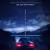 인비저블 위트니스 The Invisible Witness The.Invisible.Witness.2018.ITALIAN.1080p.WEBRip.x264-VXT