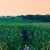 아메리칸 페이블 American Fable American.Fable.2016.PROPER.1080p.WEBRip.x264-RARBG
