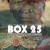 Box 25 Box.25.2015.1080p.WEBRip.x265-RARBG