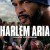 할렘 아리아 Harlem Aria Harlem.Aria.1999.1080p.AMZN.WEBRip.DDP5.1.x264-SYMBIOTES