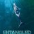 Entangled: The Race to Save Right Whales from Extinction Entangled.The.Race.to.Save.Right.Whales.from.Extinction.2020.1080p.WEBRip.x264-RARBG
