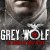 Grey Wolf: The Escape of Adolf Hitler Grey.Wolf.Hitlers.Escape.to.Argentina.2012.1080p.WEBRip.x265-RARBG