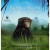 Bonobos: Back to the Wild Bonobos.Back.To.The.Wild.2015.1080p.WEBRip.x265-RARBG