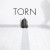 토른 Torn Torn.2013.1080p.WEBRip.x265-RARBG