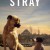 스트레이 Stray Stray.2020.SUBBED.720p.BluRay.x264-SCARE