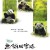 Trail of the Panda Trail Of The Panda (2009) [720p] [WEBRip]