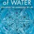 Secret of Water Secret.of.Water.2015.1080p.WEBRip.x264-RARBG