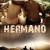 Brother Brother.2010.SPANISH.720p.BluRay.H264.AAC-VXT
