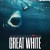 그레이트 화이트.Great White.2021.1080p.H264.AAC.한글자막