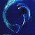 플리퍼 Flipper Flipper.1996.1080p.BluRay.x265-RARBG