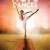 Hope Dances Hope.Dances.2017.1080p.WEBRip.x265-RARBG