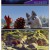 라테와 마법의 돌 Latte and the Magic Waterstone 2020.1080p.KORDUB.FHDRip.H264.AAC-JTC