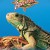 더 리빙 디저트 The Living Desert The.Living.Desert.1953.1080p.WEBRip.x265-RARBG