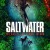 Saltwater: The Battle for Ramree Island Saltwater.The.Battle.for.Ramree.Island.2021.1080p.WEBRip.x264-RARBG