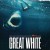 그레이트 화이트 Great White Great.White.2021.720p.BRRip.XviD.AC3-XVID