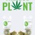 The God Plant The.God.Plant.2018.720p.WEB.h264-OPUS